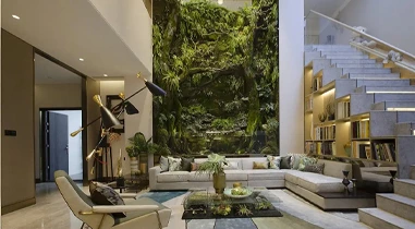 Biophilic Design: Bringing Nature Indoors
